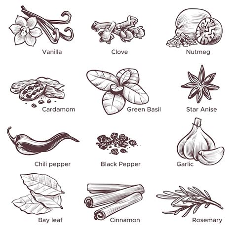 Ingrédients aromatiques : vanille, cannelle, cardamome