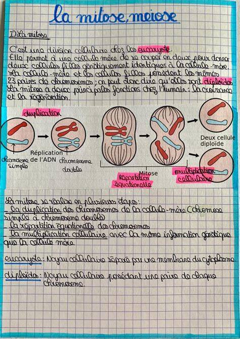 schéma étape macaronnage et croûtage