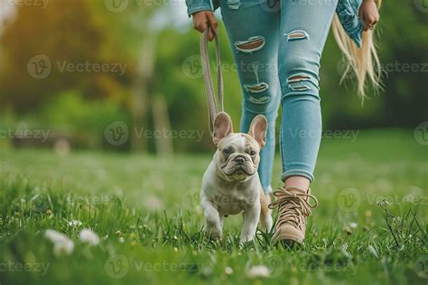 Bouledogue Américain jouant avec des enfants