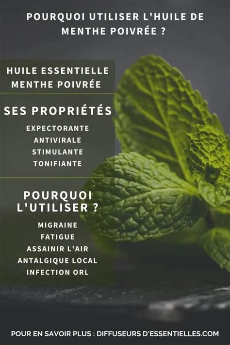 Avertissements et précautions d'emploi pour l'huile essentielle de menthe poivrée