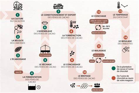 Infographie: Chaîne de fabrication et origine du cacao utilisé dans le Nestlé Dessert 300g
