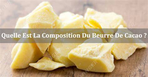 Schéma de composition et usages du beurre de cacao