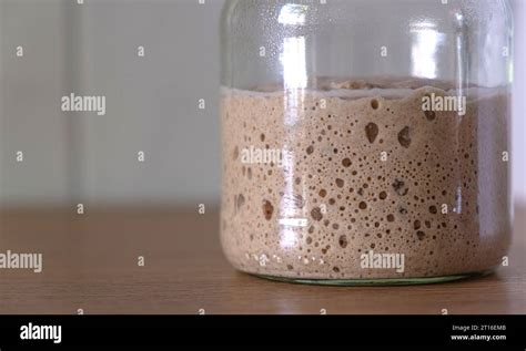 levain fermentation processus gouache croûte