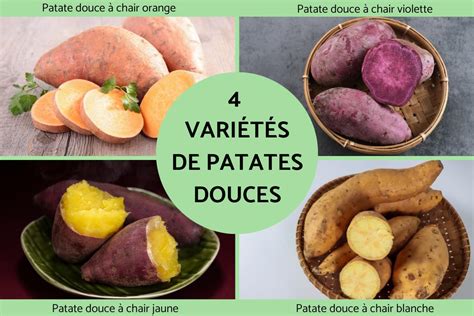 Variétés de patates douces et leurs couleurs
