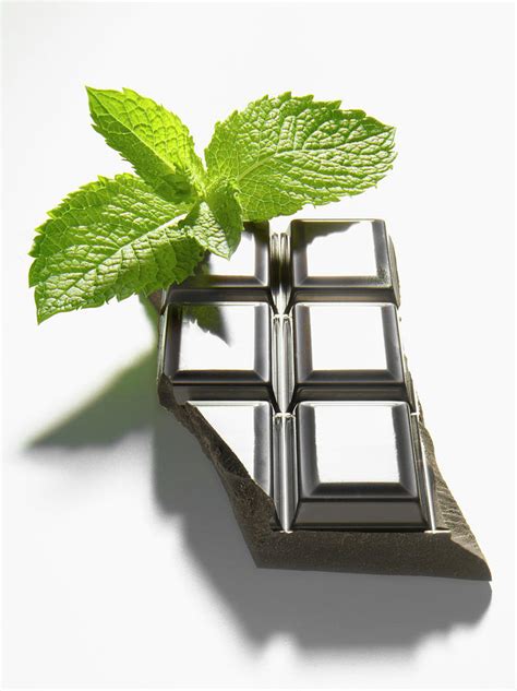 Feuilles de menthe fraîche et morceaux de chocolat noir