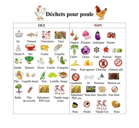 Liste visuelle des aliments interdits pour les poules