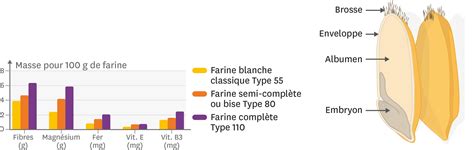 Infographie comparant la teneur en fer de différentes viandes