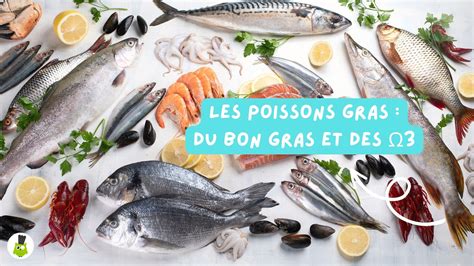 Infographie présentant différents types de poissons gras et leurs bienfaits