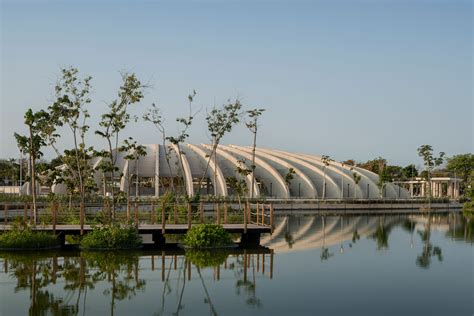 Histoire de la plancha