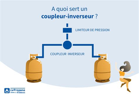 Installation de bouteilles de gaz avec coupleur-inverseur