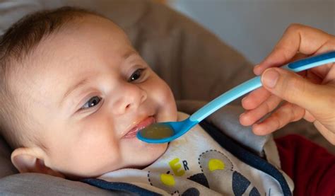 Nourrisson mangeant une purée de fruits