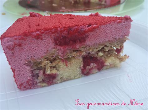 Un entremet glacé décoré avec un spray velours rouge