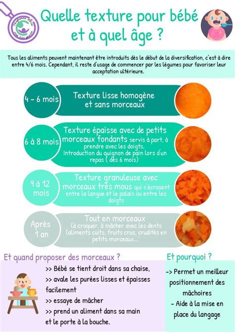 Graphique montrant l'évolution des textures et quantités de nourriture pour bébé par âge