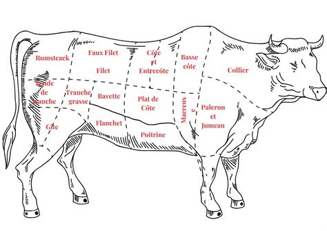 Carte des principaux morceaux de bœuf