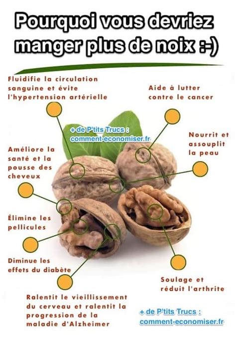 Diagramme des bienfaits des noix