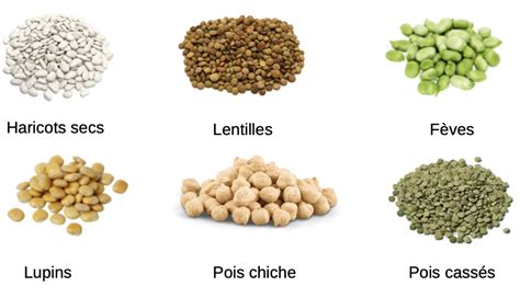 Assortiment de légumineuses sèches colorées en bocaux