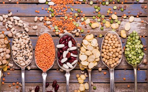 Visuel coloré présentant différentes légumineuses : lentilles, pois chiches, haricots rouges, fèves