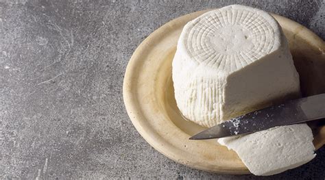 Champ de brocciu en Corse