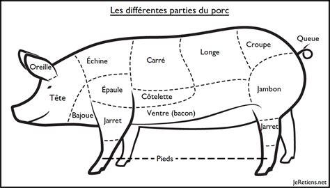 Schéma anatomique du porc, mettant en évidence le filet