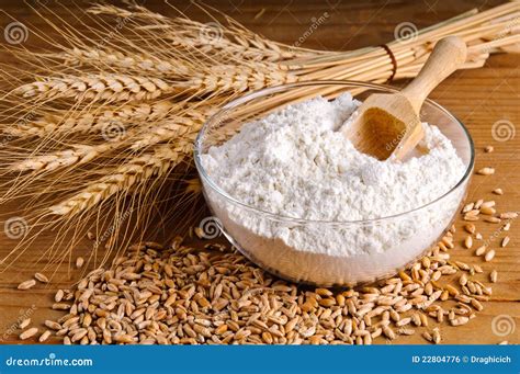Grains de blé et farine