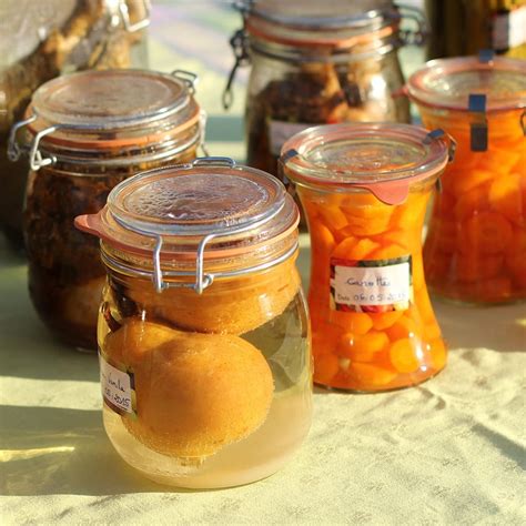 Bocaux de conserve alignés avant stérilisation