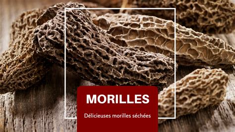 Gros plan sur des morilles séchées réhydratées