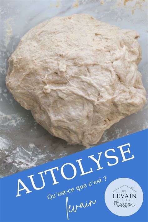 schéma séquence levain et dough autolyse