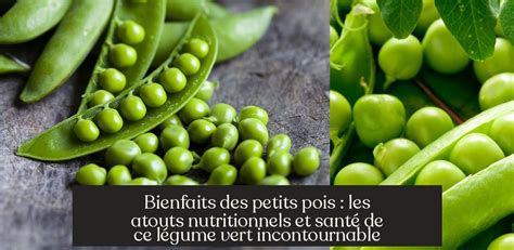 Infographie sur les bienfaits nutritionnels des petits pois