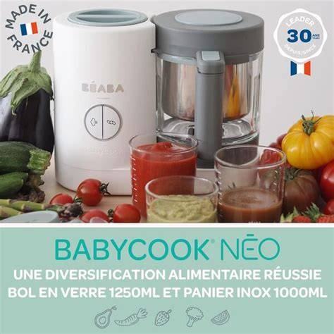 idée de voyage avec Babycook (infographie pratique)