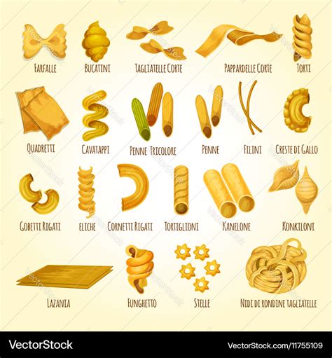 variété de pâtes type macaroni