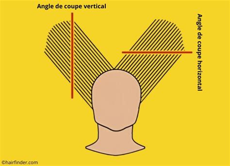 illustration coupe-oeuf et angles de coupe