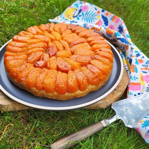 diagramme contrôle humidité tarte abricot