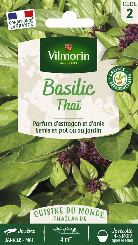 Photo du basilic thaï et poivre vert fraîchement cueillis