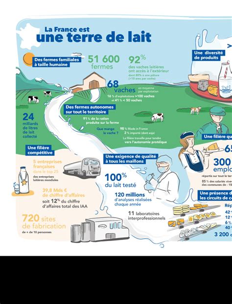 Infographie: parcours et transformation du lait de brebis en tomme