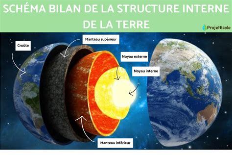 Structure interne d'un macaron