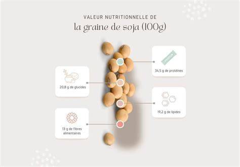 Infographie: Composition du jus de soja et répartition des ingrédients