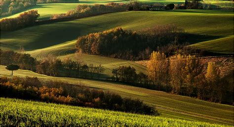 Paysage rural du Lauragais avec champs de blé et vignobles