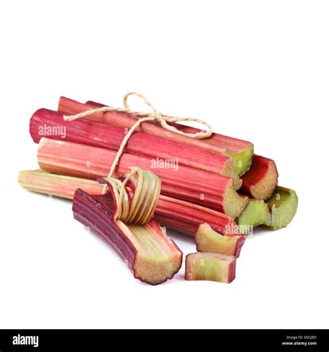 Tiges de rhubarbe fraîchement cueillies