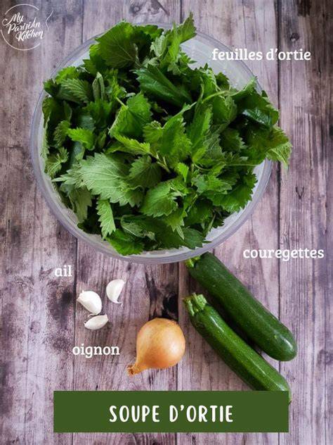 Infographie: Étapes clés pour préparer une soupe d’orties