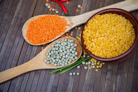 Infographie: Comparaison des lentilles corail, verte et blonde et leurs temps de cuisson