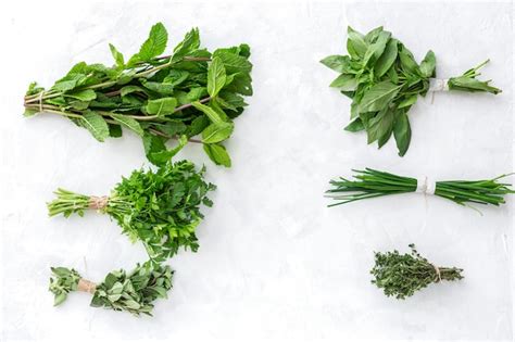 Assortiment d'herbes fraîches