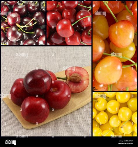 Assortiment de différentes variétés de cerises