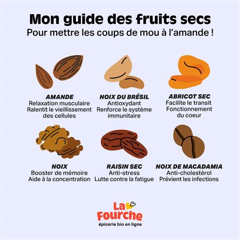 dessins et schémas nutritionnels de fruits secs