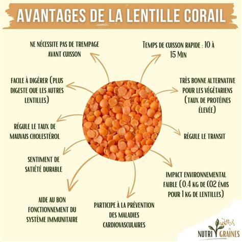 Schéma nutritionnel des lentilles corail: protéines, fibres et minéraux