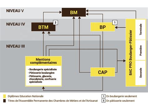 Schéma des différentes formations en pâtisserie