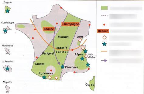 Carte et disposition des espaces : terrasse, intérieur cosy, corner biscuits et cafés