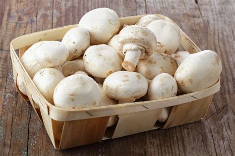 Champignons de Paris frais