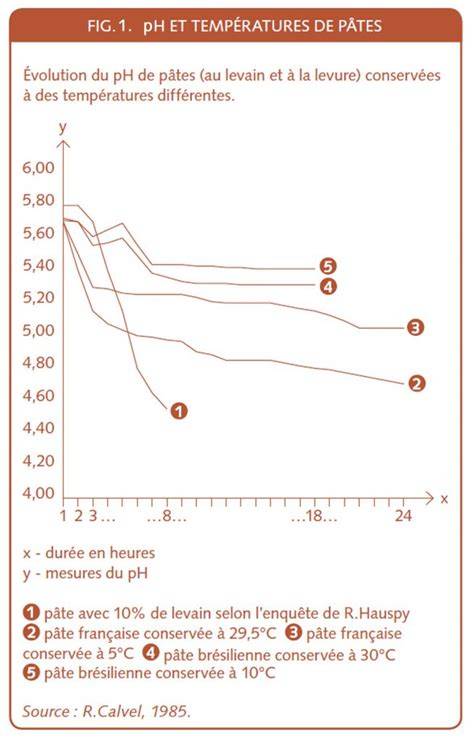 Chronologie des températures et du pH idéal du levain