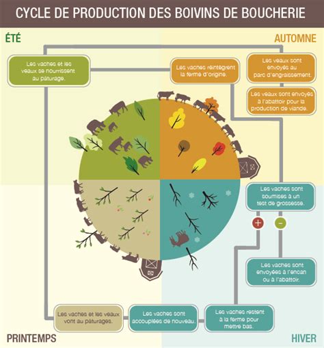 Infographie: cycle de production chez Le Lautrec
