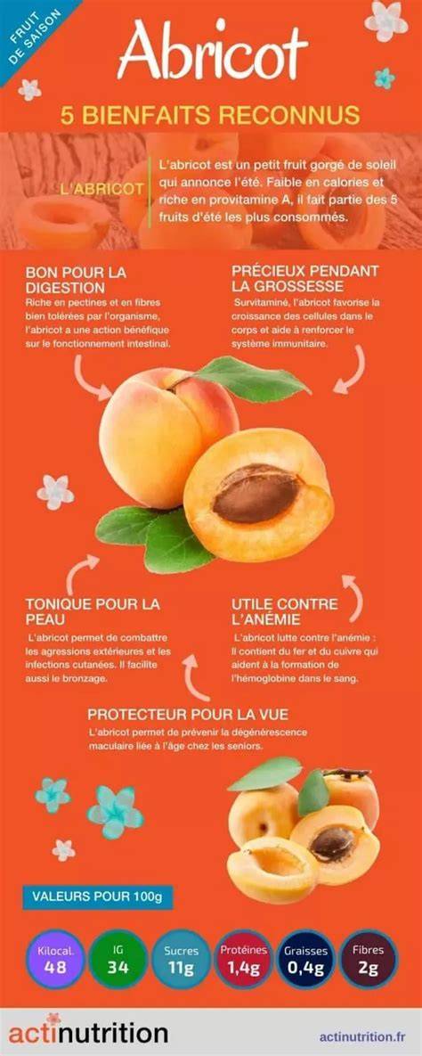 infographie alchimie abricot caramel